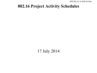 802.16 Project Activity Schedules