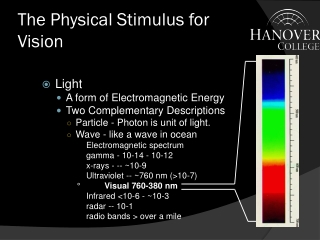 The Physical Stimulus for Vision