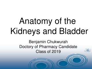 Benjamin Chukwurah Doctory of Pharmacy Candidate Class of 2019