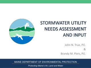 STORMWATER UTILITY NEEDS ASSESSMENT AND INPUT