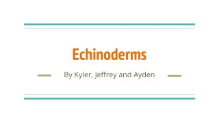 Echinoderms