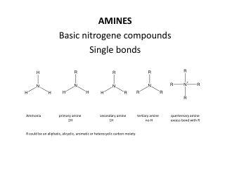 AMINES Basic nitrogene compounds Single bonds