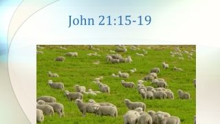 John 21:15-19