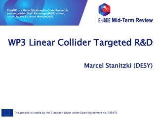 WP3 Linear Collider Targeted R&amp;D