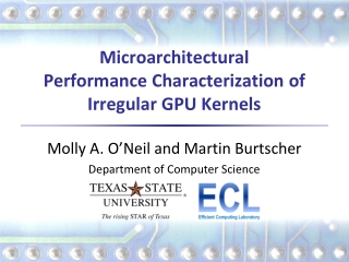 Microarchitectural Performance Characterization of Irregular GPU Kernels