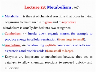 Lecture 23: Metabolism الأيْض