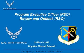 Program Executive Officer (PEO) Review and Outlook (R&amp;O)