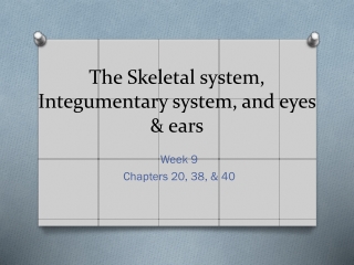 The Skeletal system, Integumentary system, and eyes &amp; ears