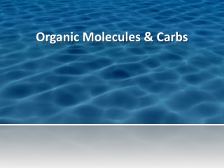 Organic Molecules &amp; Carbs