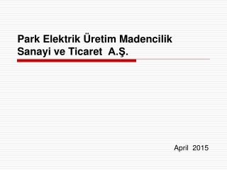 Park Elektrik Üretim Madencilik Sanayi ve Ticaret A.Ş.