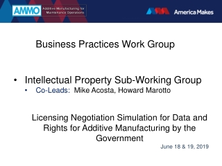 Intellectual Property Sub-Working Group Co-Leads: Mike Acosta, Howard Marotto