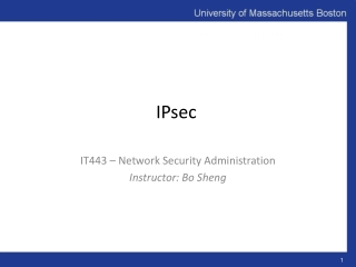 IPsec