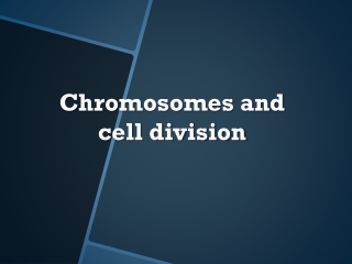 C hromosomes and cell division