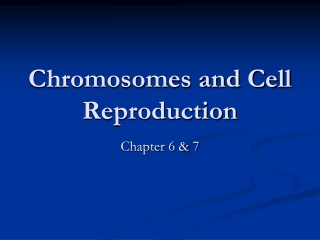 Chromosomes and Cell Reproduction