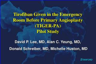 Tirofiban Given in the Emergency Room Before Primary Angioplasty (TIGER-PA) Pilot Study