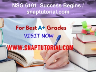 NSG 6101 Success Begins / snaptutorial.com