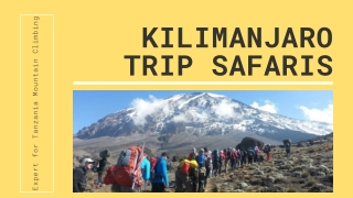 Climb Mount Kilimanjaro