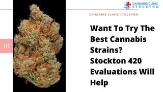 Want To Try The Best Cannabis Strains? Stockton 420 Evaluations Will Help