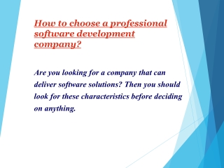 Software development company