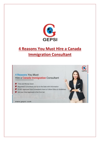 Reasons To Higher Professional Immigration Consultant