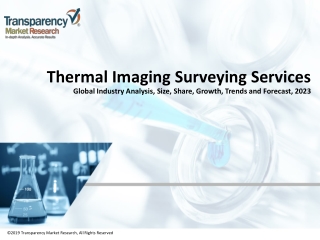 Thermal Imaging Surveying Services Market Volume Analysis, Segments, Value Share and Key Trends 2023