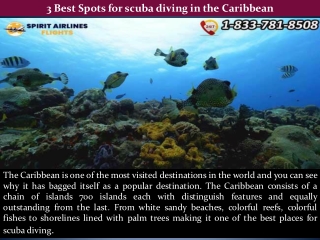 3 Best Spots for scuba diving in the Caribbean