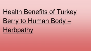 Health Benefits of Turkey Berry to Human Body – Herbpathy