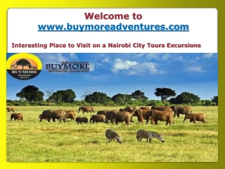 Interesting Place to Visit on a Nairobi City Tours Excursions