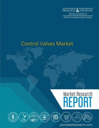 What are the snags being developed to Control Valves showcase?