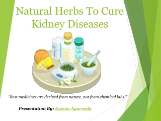 Natural Herbs To Cure Kidney Diseases