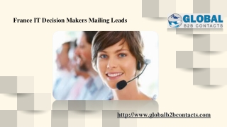 France IT Decision Makers Mailing Leads