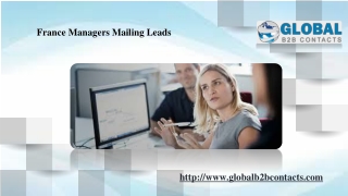 France Managers Mailing Leads