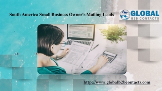South America Small Business Owner's Mailing Leads