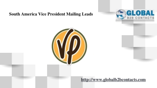 South America Vice President Mailing Leads