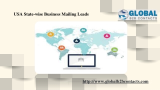 USA State-wise Mailing Leads