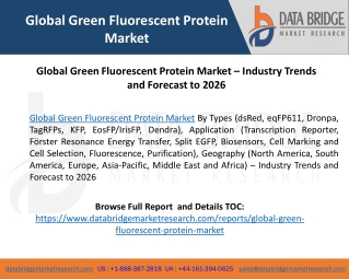 Global Green Fluorescent Protein Market – Industry Trends and Forecast to 2026