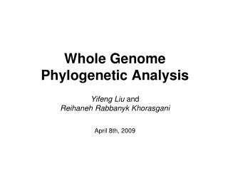Whole Genome Phylogenetic Analysis
