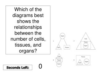 Which of the diagrams best shows the relationships between the number of cells, tissues, and organs?