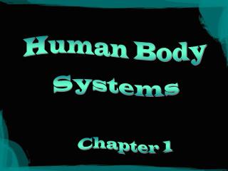 Human Body