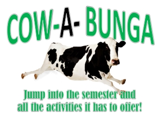 COW- A- BUNGA