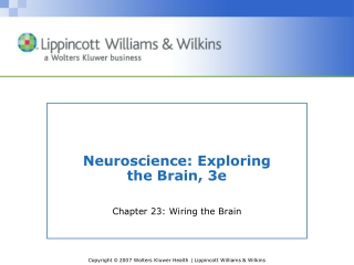 Neuroscience: Exploring the Brain, 3e