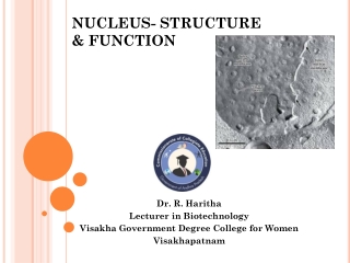 NUCLEUS- STRUCTURE &amp; FUNCTION