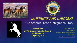 Mustangs and Unicorns A Commercial Drone Integration Story