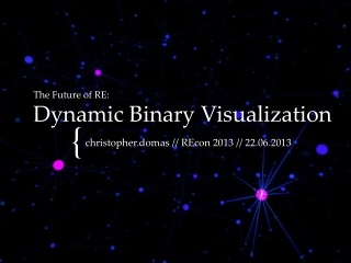 The Future of RE: Dynamic Binary Visualization