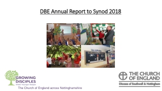 DBE Annual Report to Synod 2018