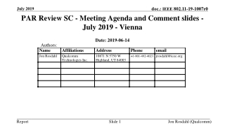 PAR Review SC - Meeting Agenda and Comment slides - July 2019 - Vienna