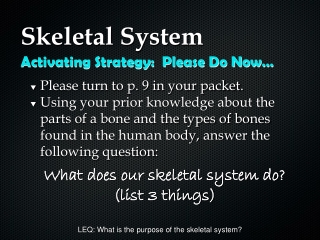 Skeletal System