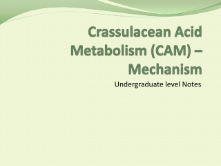 Crassulacean Acid Metabolism (CAM) – Mechanism
