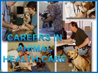 CAREERS IN ANIMAL HEALTH CARE
