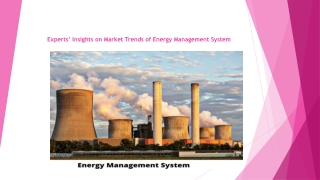 Experts’ Insights on Market Trends of Energy Management System